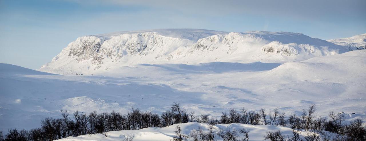 Kikut Alpin Lodge Ski In - Ski Out Geilo Exterior photo